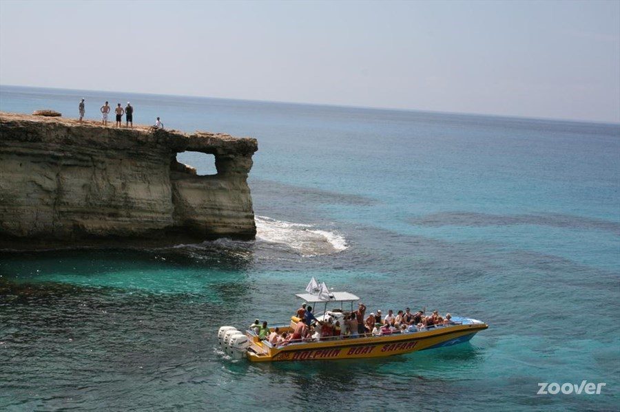 dolphin boat safari