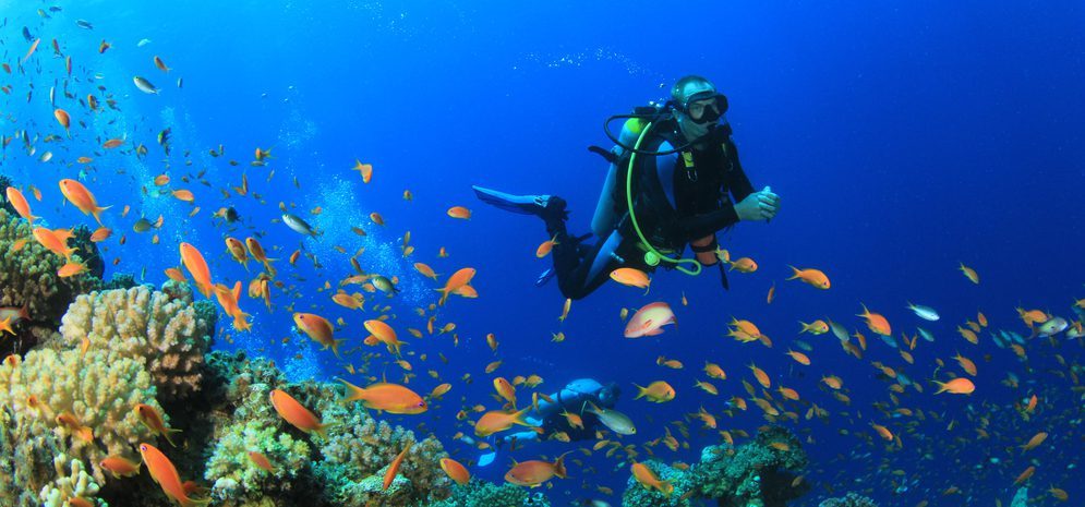 scuba diving reef