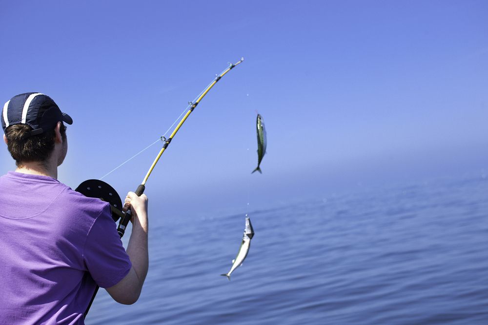 sport fishing pros Cyprus